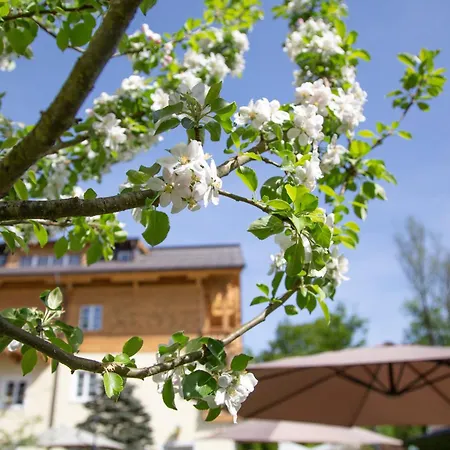 Foersterhof Lebe Pur, Geniesse Den Tag Hotel