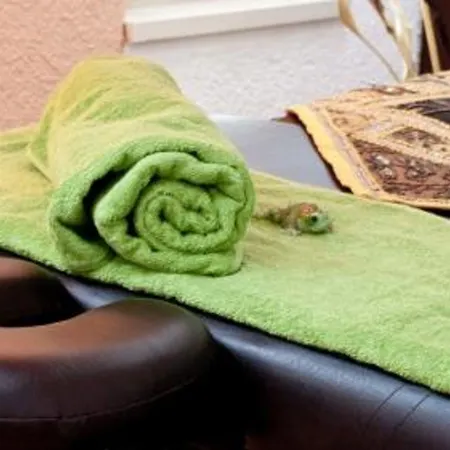 Foersterhof Lebe Pur, Geniesse Den Tag Saint Wolfgang