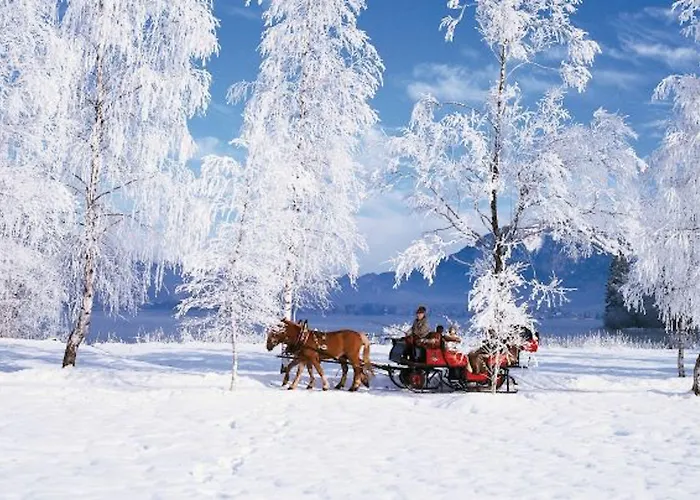 Foersterhof Lebe Pur, Geniesse Den Tag Ξενοδοχείο 4*