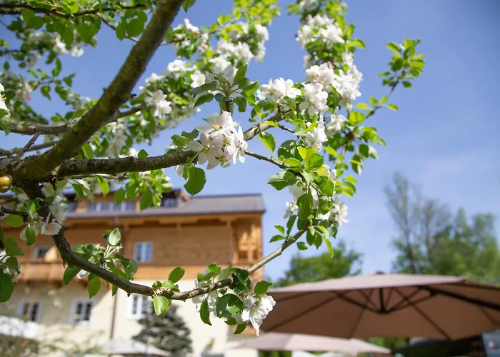 Foersterhof Lebe Pur, Geniesse Den Tag Hotell