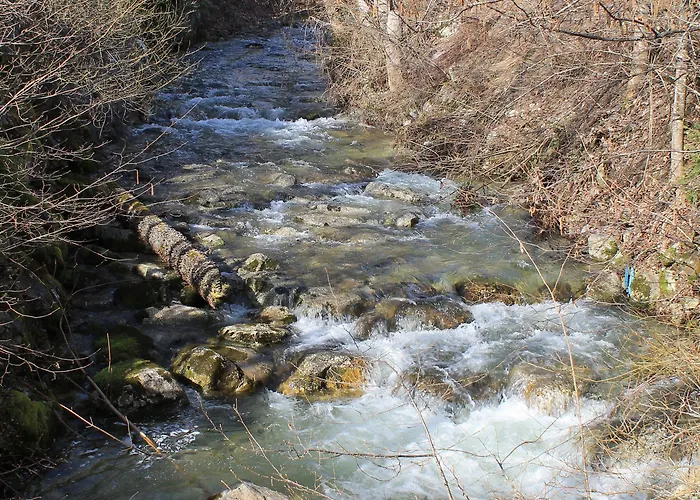 Foersterhof Lebe Pur, Geniesse Den Tag Hotel Saint Wolfgang